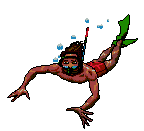 gif plongeurs
