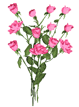gif roses
